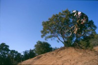 Pine Valley Jumps