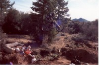Pine Valley Jumps
